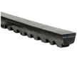 Klinový remen GATES AVX13X1850HD