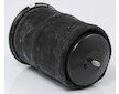 Mech pneumatického prużenia FIRESTON W01M588545