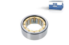 Lożisko vyvażovacieho hriadeľa DT Spare Parts 3.50088